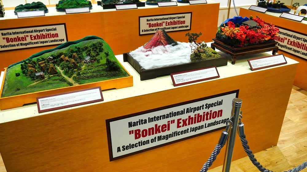 成田国際空港特別『盆景展』の主な展示内容